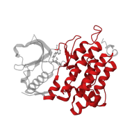 The deposited structure of PDB entry 4cmo contains 1 copy of CATH domain 1.10.510.10 (Transferase(Phosphotransferase); domain 1) in ALK tyrosine kinase receptor. Showing 1 copy in chain A.