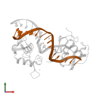 5'-D(*TP*GP*GP*GP*GP*TP*CP*AP*GP*AP*GP*TP*TP*CP *AP*AP*TP)-3' in PDB entry 4cn5, assembly 1, front view.