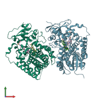 PDB entry 4coh coloured by chain, front view.