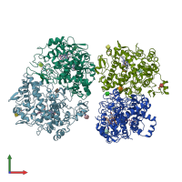 PDB entry 4cox coloured by chain, front view.