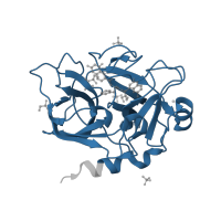 The deposited structure of PDB entry 4crf contains 1 copy of Pfam domain PF00089 (Trypsin) in Coagulation factor XIa light chain. Showing 1 copy in chain A.