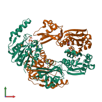 PDB entry 4cta coloured by chain, front view.