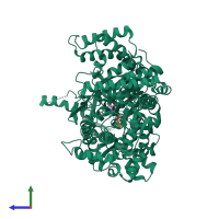 PDB entry 4ctm coloured by chain, side view.