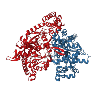 The deposited structure of PDB entry 4cto contains 2 copies of CATH domain 3.40.50.2000 (Rossmann fold) in Glycogen phosphorylase, muscle form. Showing 2 copies in chain A.