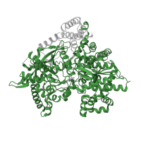 The deposited structure of PDB entry 4cto contains 1 copy of Pfam domain PF00343 (Carbohydrate phosphorylase) in Glycogen phosphorylase, muscle form. Showing 1 copy in chain A.