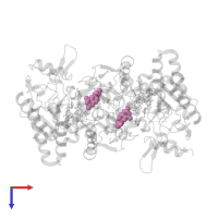 5,6,7,8-TETRAHYDROBIOPTERIN in PDB entry 4ctt, assembly 1, top view.