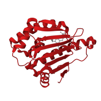 The deposited structure of PDB entry 4cwq contains 1 copy of CATH domain 3.30.565.10 (Heat Shock Protein 90) in Heat shock protein HSP 90-alpha. Showing 1 copy in chain A.