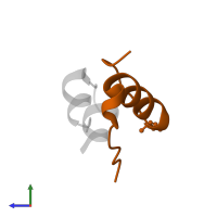 Insulin B chain in PDB entry 4cxn, assembly 2, side view.