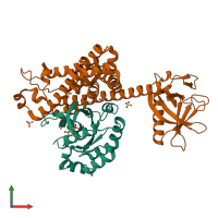Hetero dimeric assembly 1 of PDB entry 4d0n coloured by chemically distinct molecules, front view.