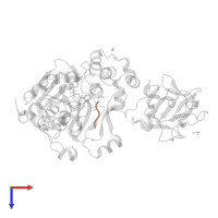 CCN family member 1 in PDB entry 4d0z, assembly 1, top view.