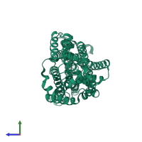Hydantoin permease in PDB entry 4d1b, assembly 1, side view.