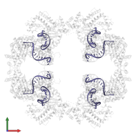 TERMINAL INVERTED REPEAT in PDB entry 4d1q, assembly 1, front view.