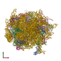 PDB entry 4d5y coloured by chain, front view.