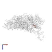 Small ribosomal subunit protein eS28 in PDB entry 4d61, assembly 1, top view.