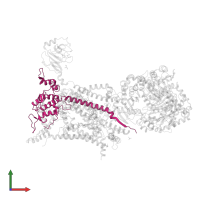 Cytochrome c1, heme protein, mitochondrial in PDB entry 4d6u, assembly 2, front view.