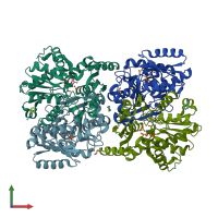PDB entry 4d8w coloured by chain, front view.