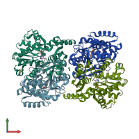 PDB entry 4d9c coloured by chain, front view.