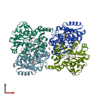 PDB entry 4d9f coloured by chain, front view.