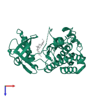 ALK tyrosine kinase receptor in PDB entry 4dce, assembly 1, top view.