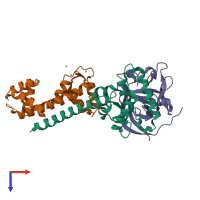 PDB entry 4dck coloured by chain, top view.