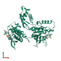 PDB entry 4dcu coloured by chain, front view.