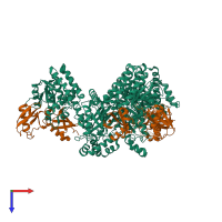 Hetero nonameric assembly 1 of PDB entry 4ddg coloured by chemically distinct molecules, top view.