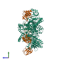 Hetero nonameric assembly 2 of PDB entry 4ddg coloured by chemically distinct molecules, side view.
