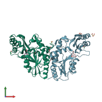 PDB entry 4ddh coloured by chain, front view.