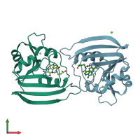 PDB entry 4dfr coloured by chain, front view.