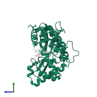Aminoglycoside phosphotransferase domain-containing protein in PDB entry 4dfu, assembly 1, side view.