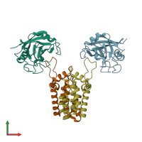 PDB entry 4dga coloured by chain, front view.