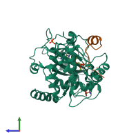 PDB entry 4dh3 coloured by chain, side view.