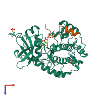 PDB entry 4dh3 coloured by chain, top view.