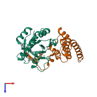 PDB entry 4did coloured by chain, top view.