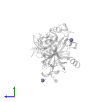 ZINC ION in PDB entry 4dii, assembly 1, side view.