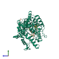 PDB entry 4dja coloured by chain, side view.