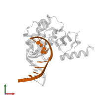 5'-D(*TP*GP*TP*CP*CP*AP*(3DR)P*GP*TP*CP*T)-3' in PDB entry 4dk9, assembly 1, front view.