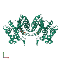 Homo dimeric assembly 1 of PDB entry 4dkb coloured by chemically distinct molecules, front view.