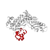 The deposited structure of PDB entry 4dl5 contains 1 copy of CATH domain 1.10.150.20 (DNA polymerase; domain 1) in DNA polymerase eta. Showing 1 copy in chain A.