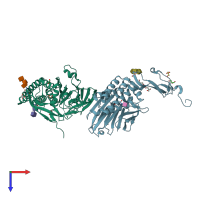 PDB entry 4dlo coloured by chain, top view.