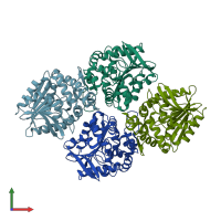 PDB entry 4dmc coloured by chain, front view.