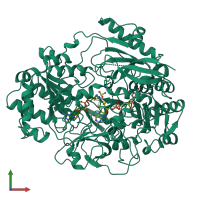 PDB entry 4dmr coloured by chain, front view.