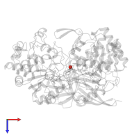 OXYGEN ATOM in PDB entry 4dmr, assembly 1, top view.