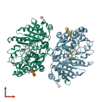 PDB entry 4dns coloured by chain, front view.