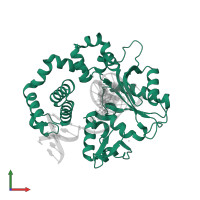 DNA polymerase beta in PDB entry 4doa, assembly 1, front view.