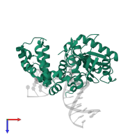 DNA polymerase beta in PDB entry 4doa, assembly 1, top view.