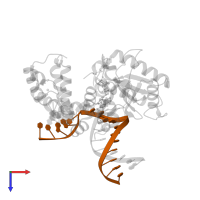 C C G A C C G C G C A T C A G C in PDB entry 4doa, assembly 1, top view.