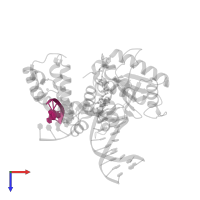 G T C G G in PDB entry 4dob, assembly 1, top view.