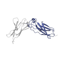 The deposited structure of PDB entry 4doh contains 2 copies of Pfam domain PF09294 (Interferon-alpha/beta receptor, fibronectin type III) in Interleukin-20 receptor subunit alpha. Showing 1 copy in chain F [auth E].