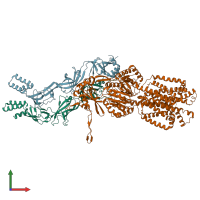 PDB entry 4dop coloured by chain, front view.